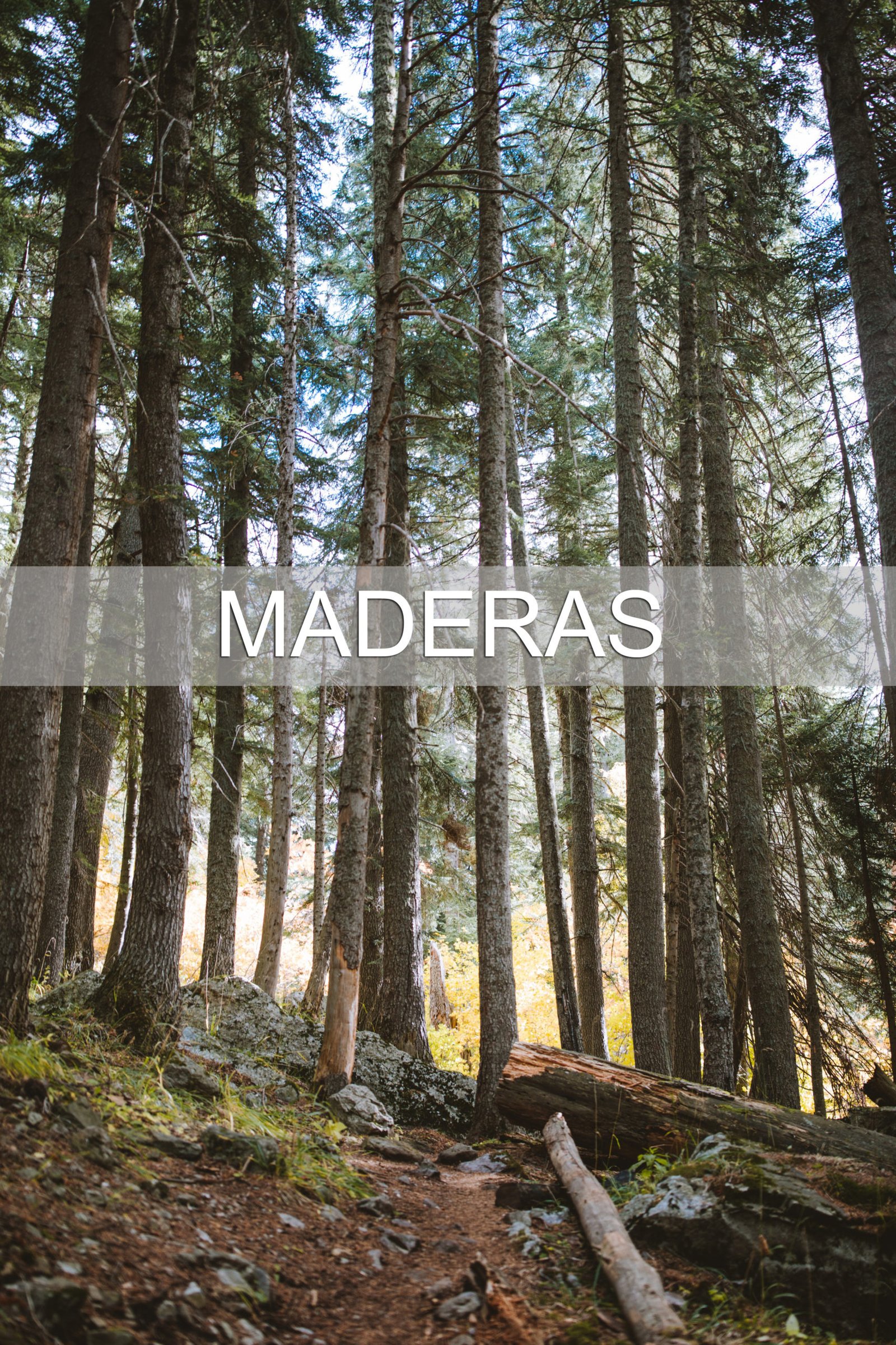 maderas3